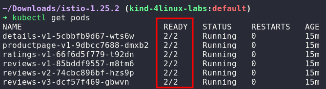 Pods do novo deployment com o proxy injetado pelo Istio