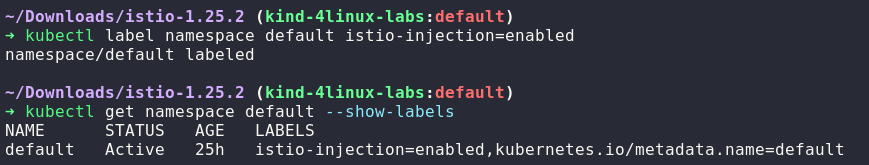 Adicionando a Label do Istio no Namespace Default