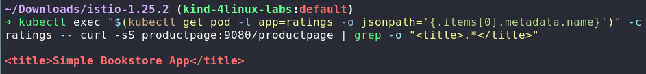 Validando a aplicação pela tag HTML title